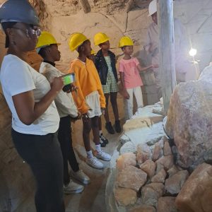 Mentorship Programme2